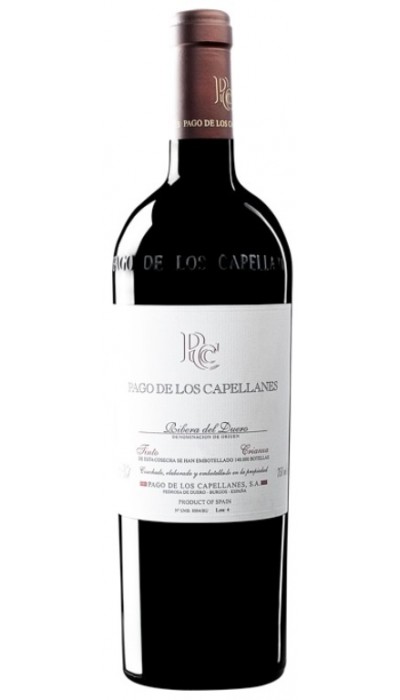 Pago de los Capellanes Crianza Magnum 2015