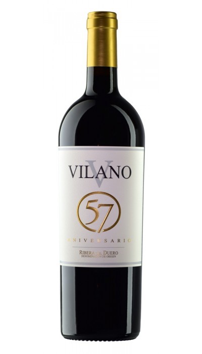 Vilano 57 2021