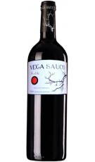 Vega Saúco Roble El Beybi 2022