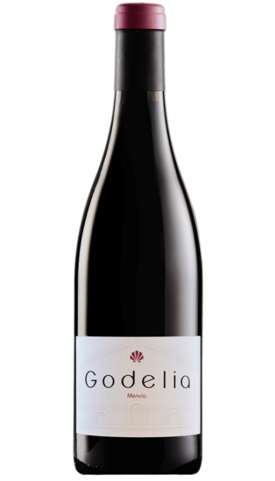 Godelia Tinto 2013