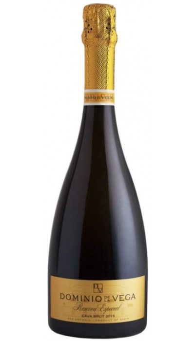 Dominio de la Vega Reserva Especial 2013